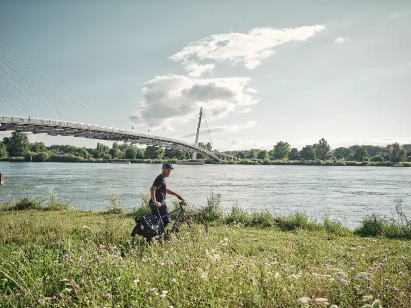 Jobradler schiebt sein Rad in einer Blumenwiese am Flussufer Jobradler schiebt sein Rad in einer Blumenwiese am Flussufer